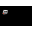 Playing cat (Profile Background)