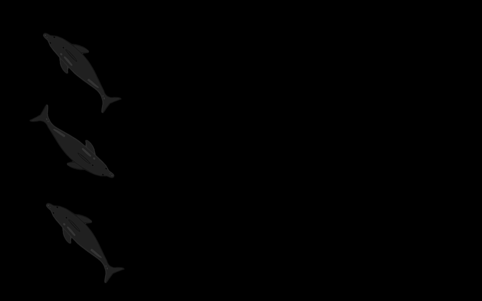 Dolphin (Profile Background)