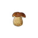 :ediblemushroom: