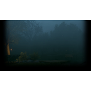 Swamp