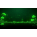 Mushrooms (Profile Background)