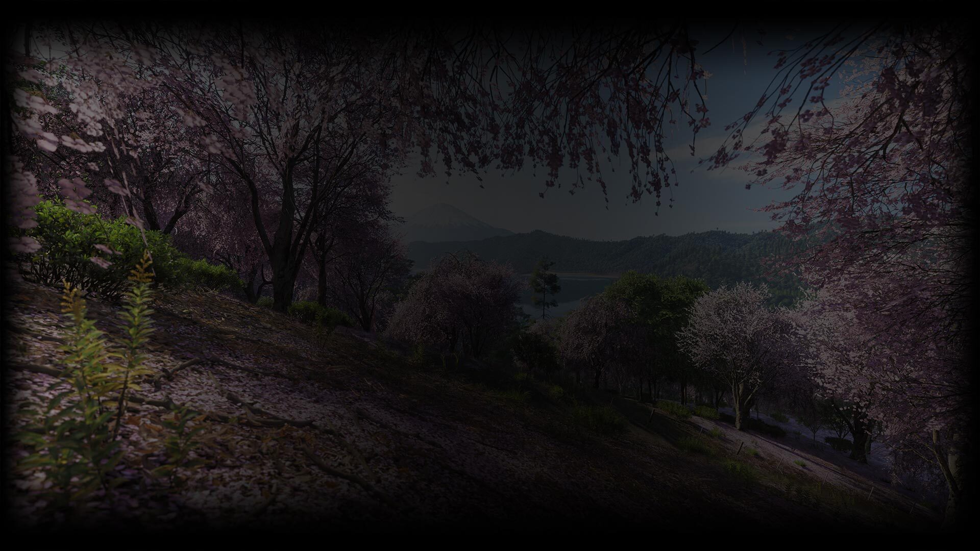 Spring Season