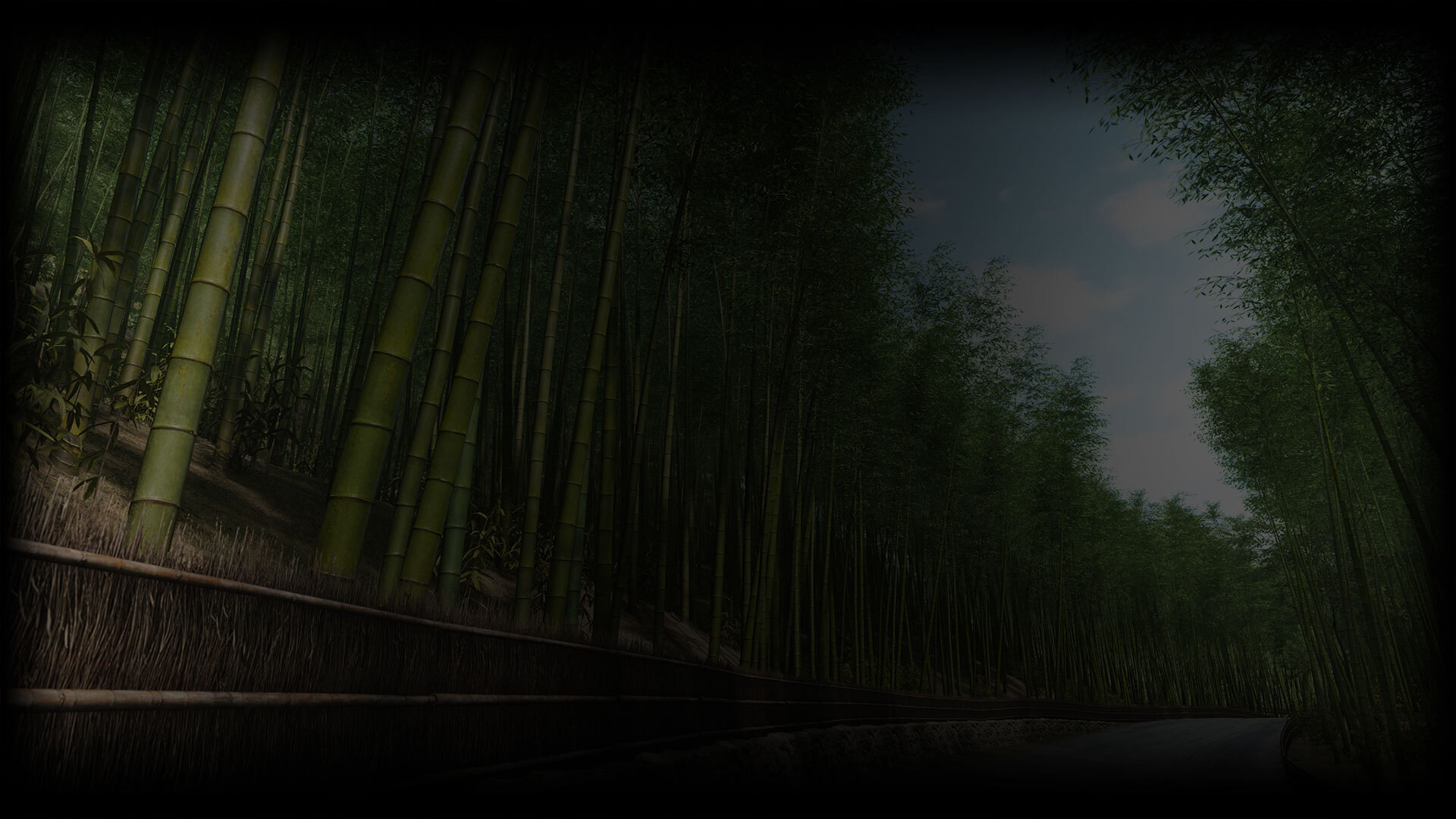 Arashiyama Bamboo Forest