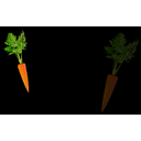 Big Carrot