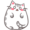 Confused Cat