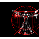 vitruvian