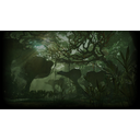 Jungles of Kadaku