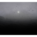 SS_MLandscape