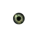 :solarixeye: