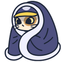 Delivery Cat in a Blanket