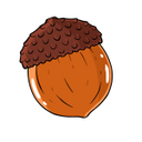 Autumn Acorn