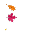 Falling Foliage