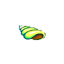:FreddiFishGlowingshell: