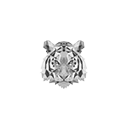 :tigerwhite: