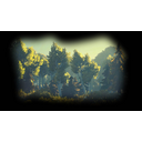 Forest Animated Back