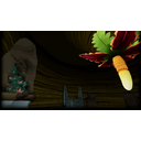 Amorphophallus Immensus (Profile Background)