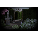 The Maze