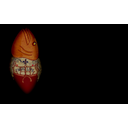 Carp (Profile Background)