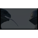 Lizard and Rus watch each other