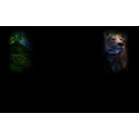 Bear Simulated