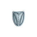 :kl_shield: