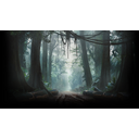 Logging Road