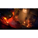 SURVIVING THE CRASH (Profile Background)