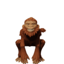 Monkey