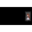 Sakura (Profile Background)