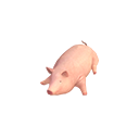:SpiceandWolfVR2_pig: