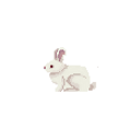 :Rabbit_pixel: