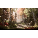 Arlathan Forest (Profile Background)