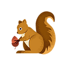 Squirrel Nibble