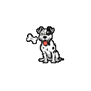:CuteDolBoneDog: