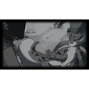 Snow leopard (Profile Background)