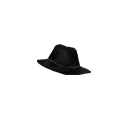 :zhanghat: