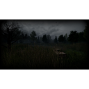 Chernobyl Forest