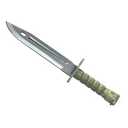 ★ StatTrak™ Bayonet