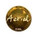 Sticker | Aerial (Gold) | Katowice 2019