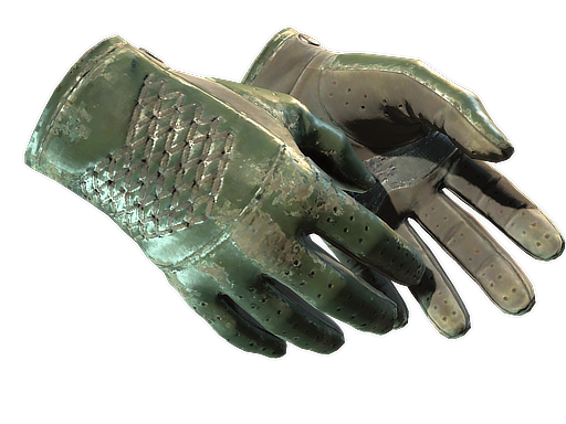 ★ Driver Gloves | Racing Green (Battle-Scarred)