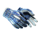 ★ Sport Gloves | Amphibious (Well-Worn)