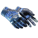 ★ Moto Gloves | Polygon (Field-Tested)