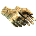 ★ Moto Gloves | Transport (Battle-Scarred)