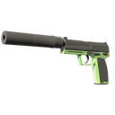 USP-S | Para Green (Factory New)