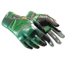 ★ Moto Gloves | Turtle (Well-Worn)