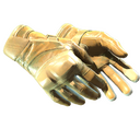 ★ Moto Gloves | Transport (Minimal Wear)