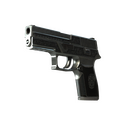 StatTrak™ P250 | Cartel (Well-Worn)