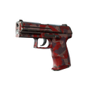 P2000 | Red FragCam (Well-Worn)