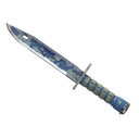 ★ Bayonet | Bright Water (Battle-Scarred)