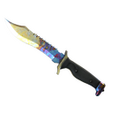 ★ StatTrak™ Bowie Knife | Case Hardened (Field-Tested)